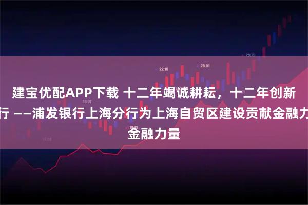 建宝优配APP下载 十二年竭诚耕耘，十二年创新先行 ——浦发银行上海分行为上海自贸区建设贡献金融力量