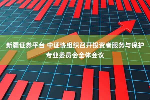 新疆证券平台 中证协组织召开投资者服务与保护专业委员会全体会议