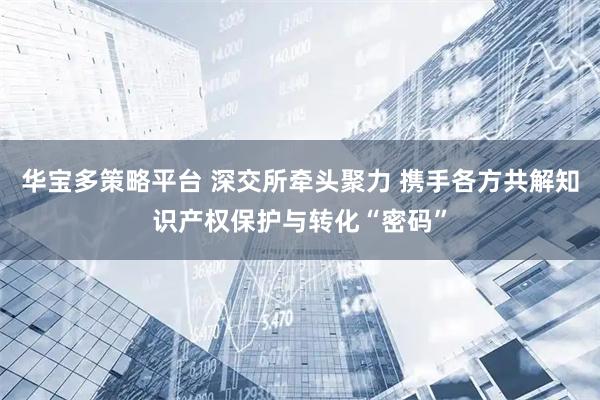 华宝多策略平台 深交所牵头聚力 携手各方共解知识产权保护与转化“密码”