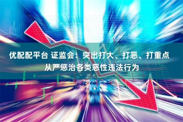优配配平台 证监会：突出打大、打恶、打重点  从严惩治各类恶性违法行为